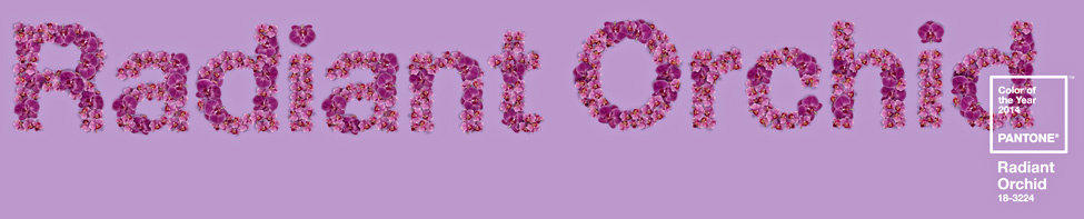 radiant orchid pantone